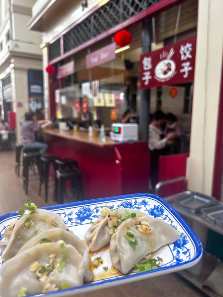 plate of dumplings